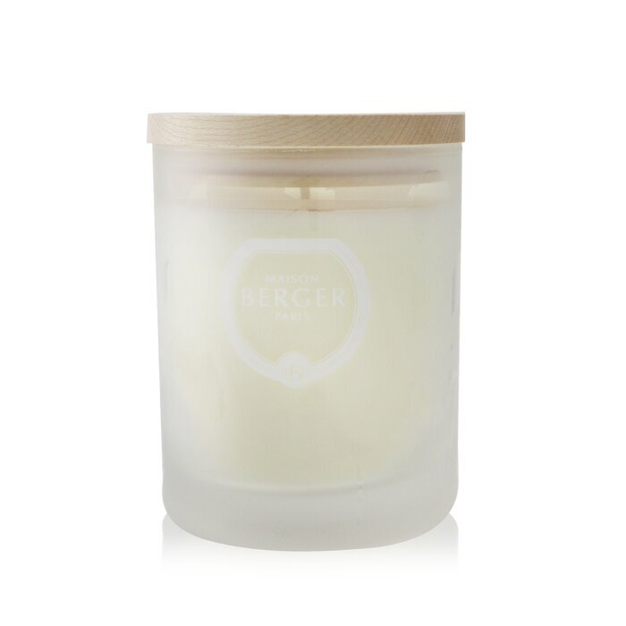 Lampe Berger (Maison Berger Paris) Scented Candle - Aroma D-Stress 180g