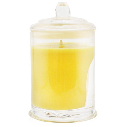 Glasshouse Triple Scented Soy Candle - A Tahaa Affair (Vanilla Caramel) 60g