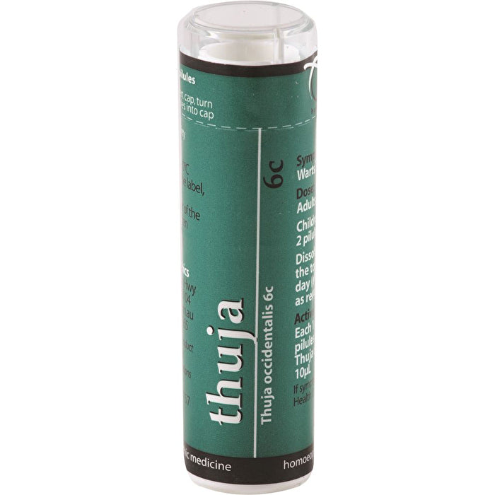 Googys Good Choc+ (collagen + Egg Protein Chocolate) Dark Raspberry 100g X 10 Display